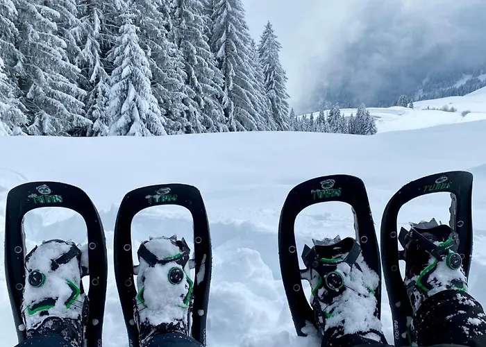 Apartamento Sonnenalp Bergruhe *